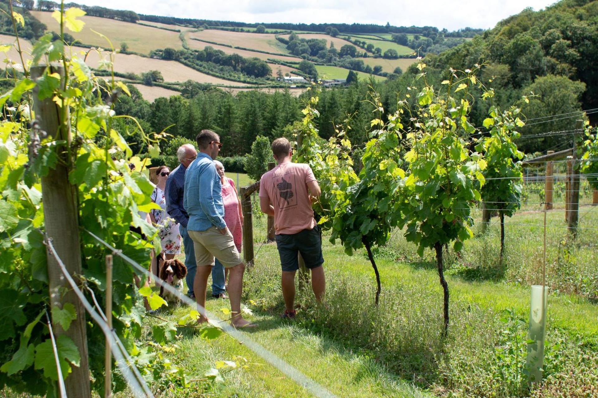 Couples Retreat In Beautiful West Devon Countryside Βίλα Broadwoodwidger Εξωτερικό φωτογραφία