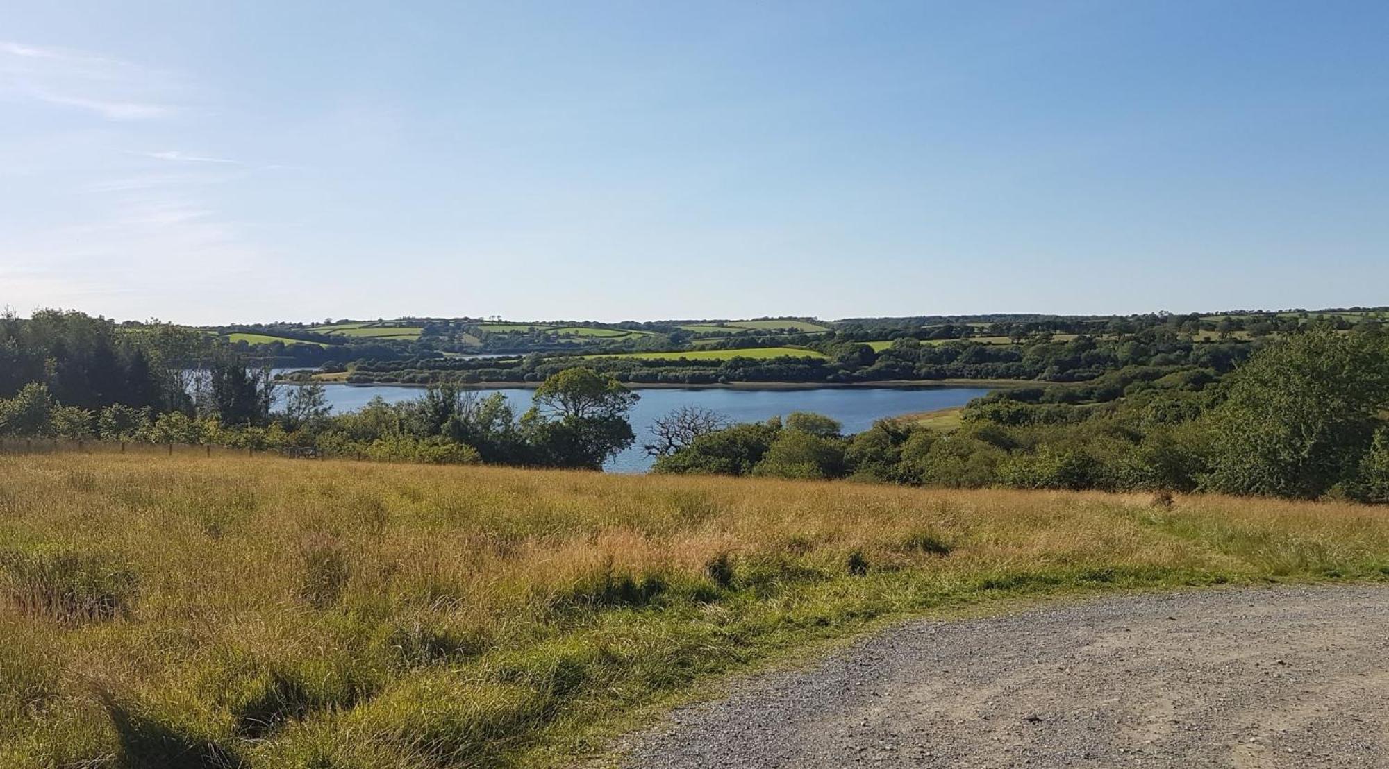 Couples Retreat In Beautiful West Devon Countryside Βίλα Broadwoodwidger Εξωτερικό φωτογραφία