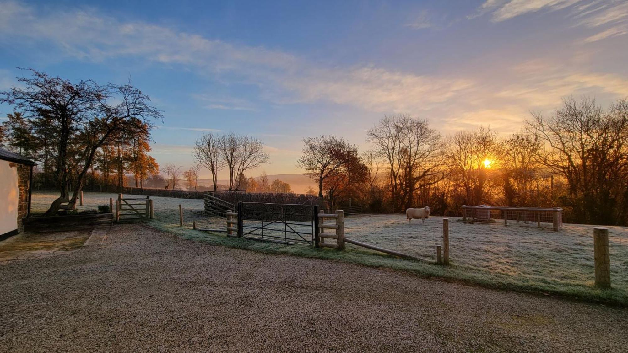 Couples Retreat In Beautiful West Devon Countryside Βίλα Broadwoodwidger Εξωτερικό φωτογραφία